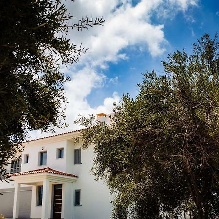 Paphos Villa Despoina מראה חיצוני תמונה