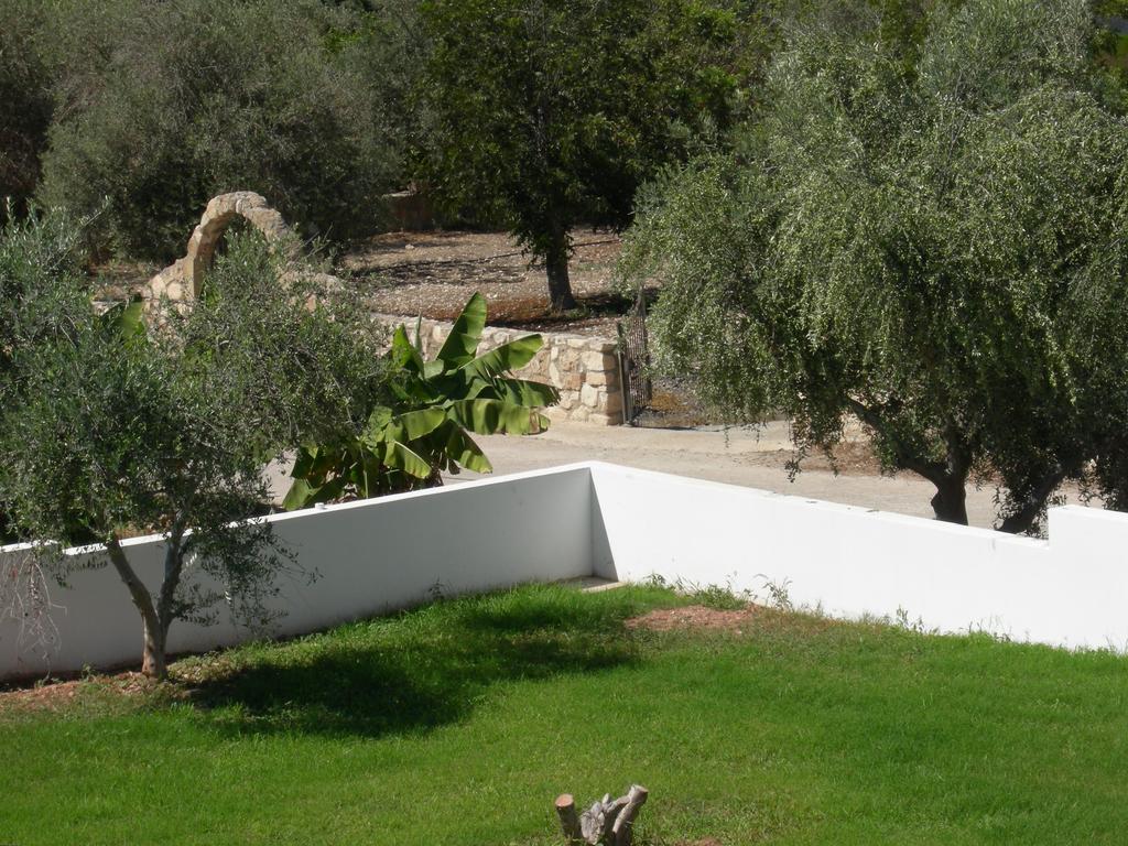 Paphos Villa Despoina מראה חיצוני תמונה