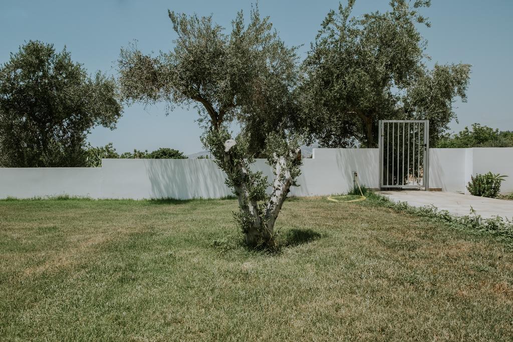 Paphos Villa Despoina מראה חיצוני תמונה